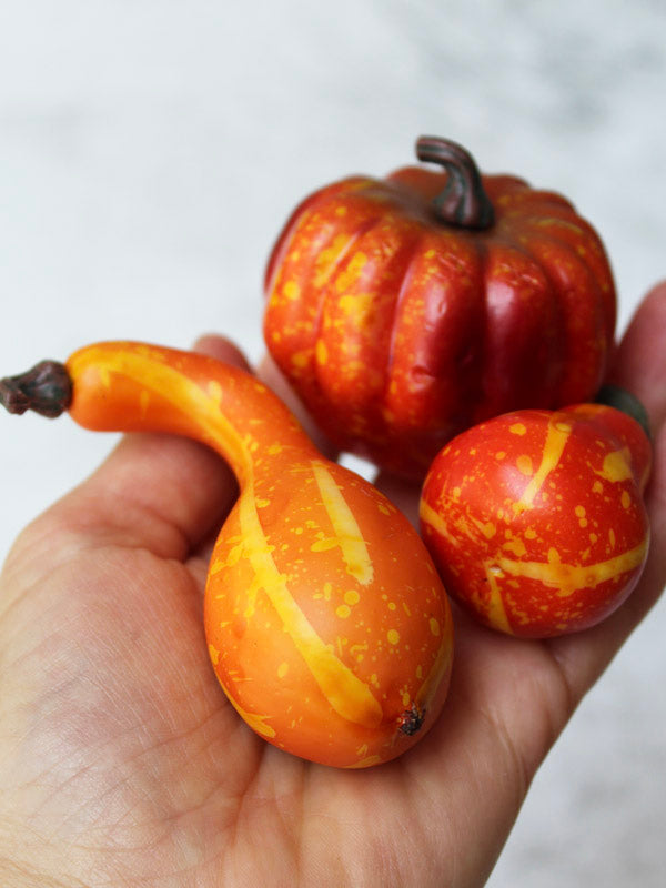 NATURE PUMPKINS