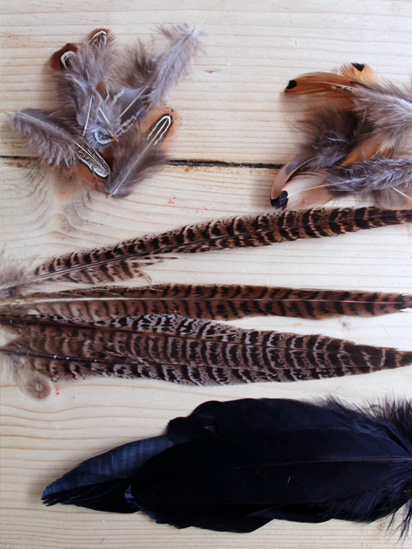 
                  
                    PHEASANT FEATHERS
                  
                