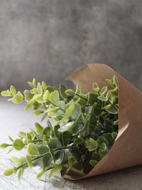 eucalyptus wreath