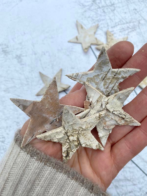 BIRCH STARS