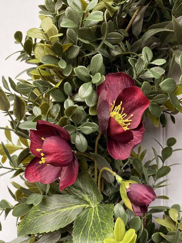 
                  
                    DARK HELLEBORE
                  
                