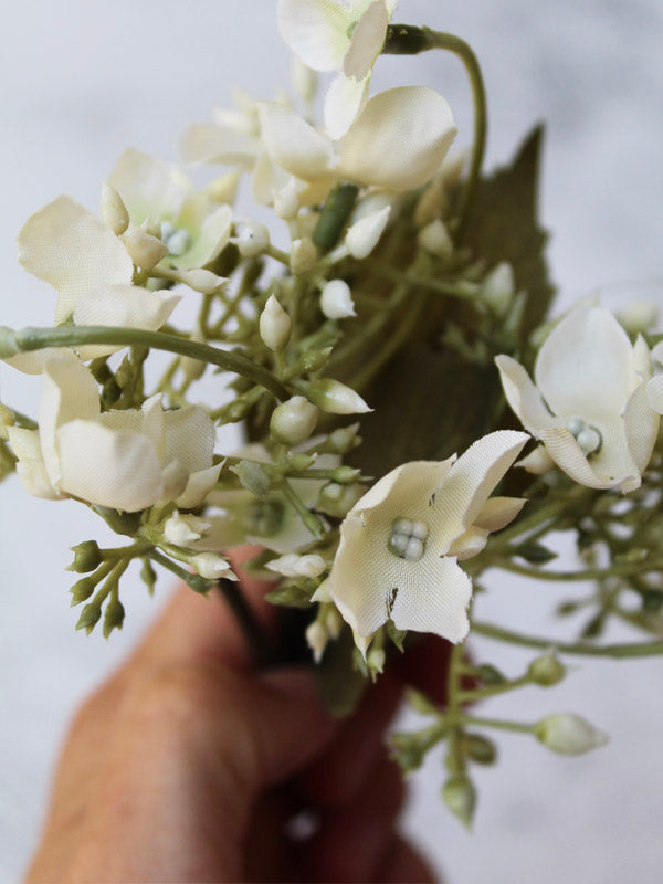 CREAM HYDRANGEA