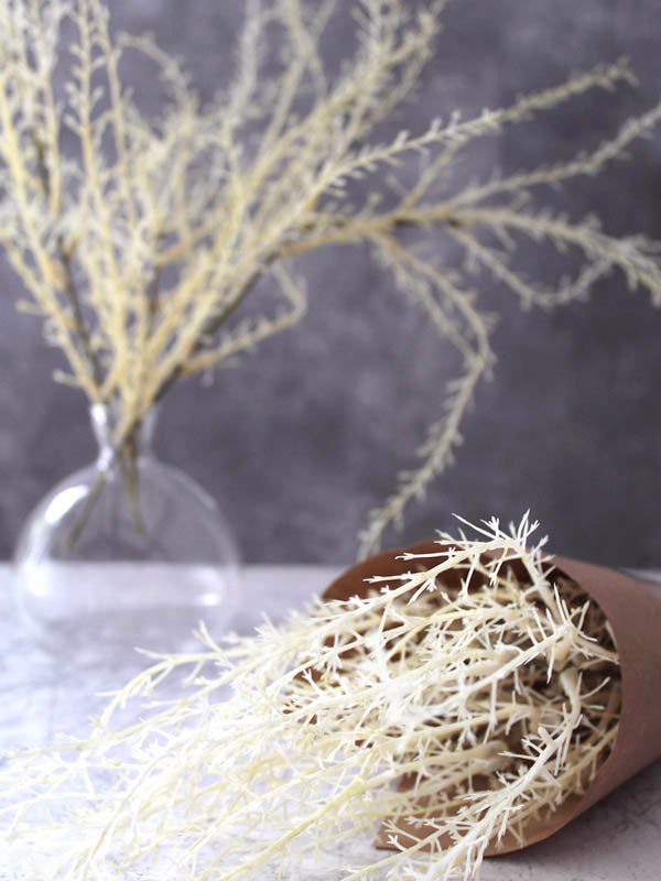 
                  
                    DRIED FAUX WILLOW
                  
                