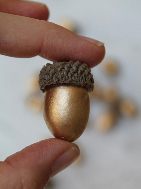 
                  
                    GOLD ACORNS
                  
                