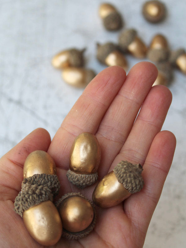 GOLD ACORNS