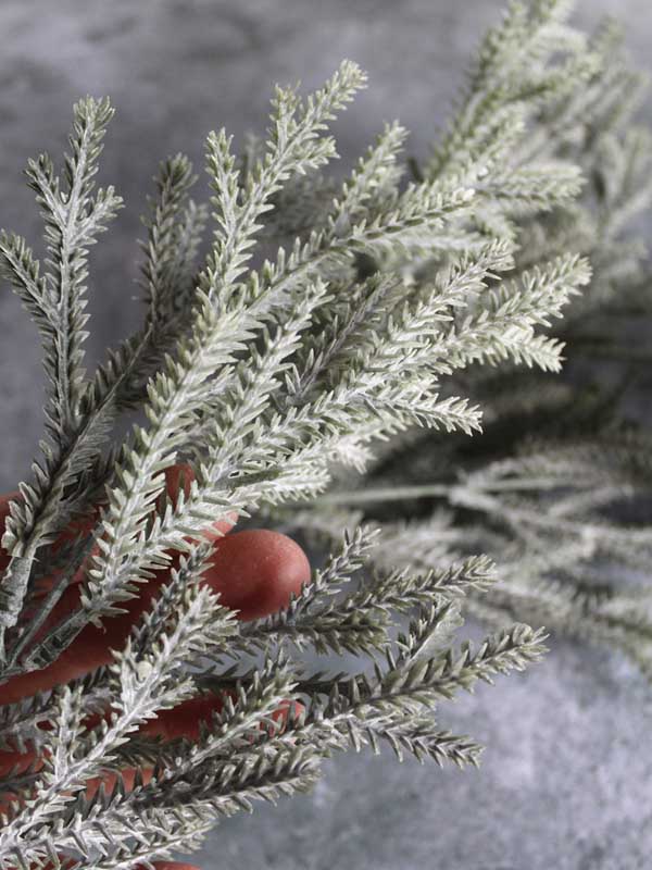 grey green fir