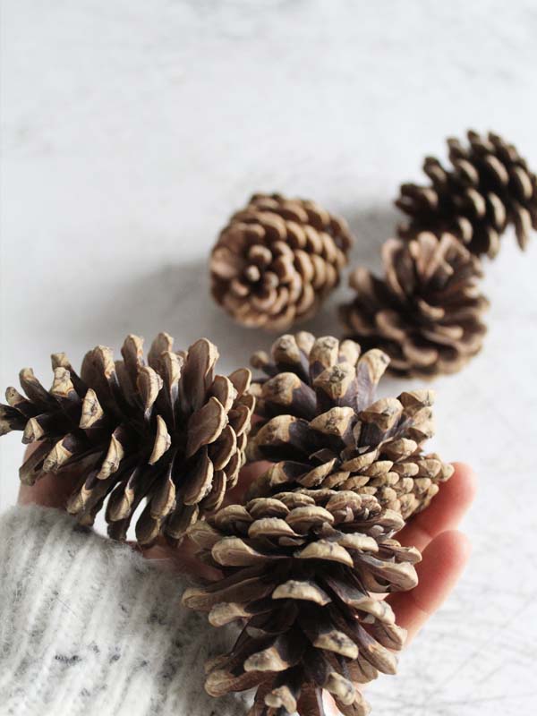 cones for wreath