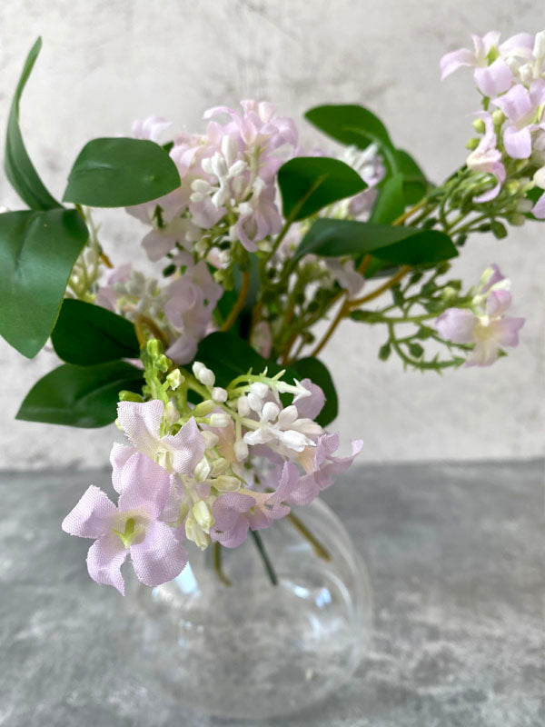 LILAC VERBENA