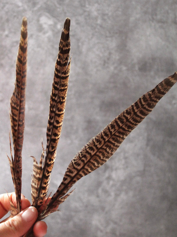 PHEASANT FEATHERS – Wreath Charms