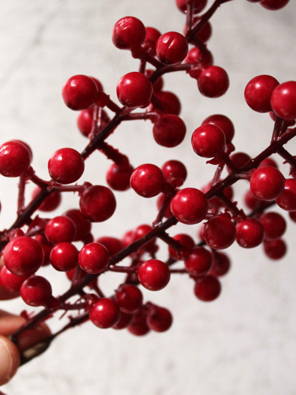 
                  
                    faux red berries for wreath
                  
                