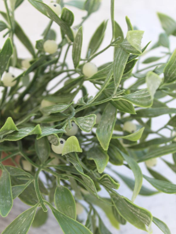 
                  
                    MISTLETOE BUNCH
                  
                