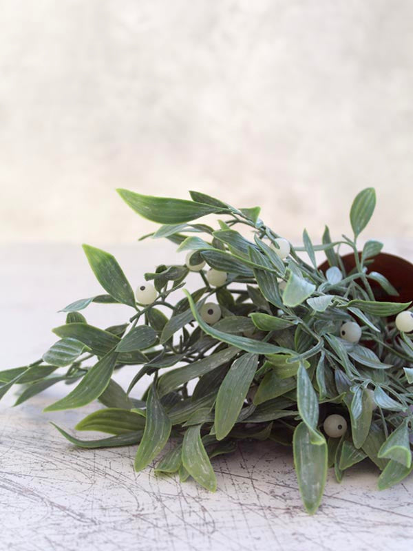 
                  
                    MISTLETOE BUNCH
                  
                