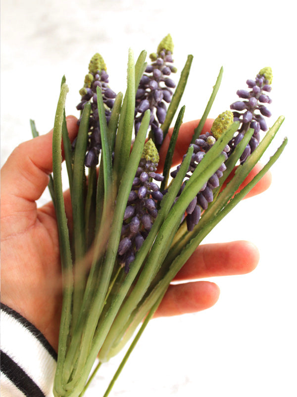 MUSCARI