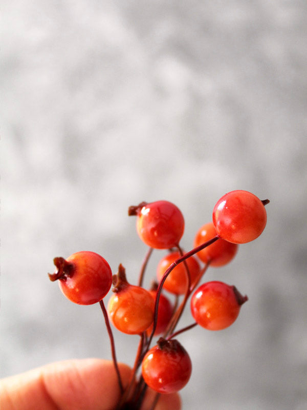 ORANGE BERRIES