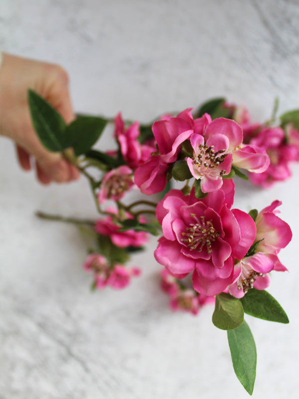 
                  
                    FUCHSIA BLOSSOM
                  
                