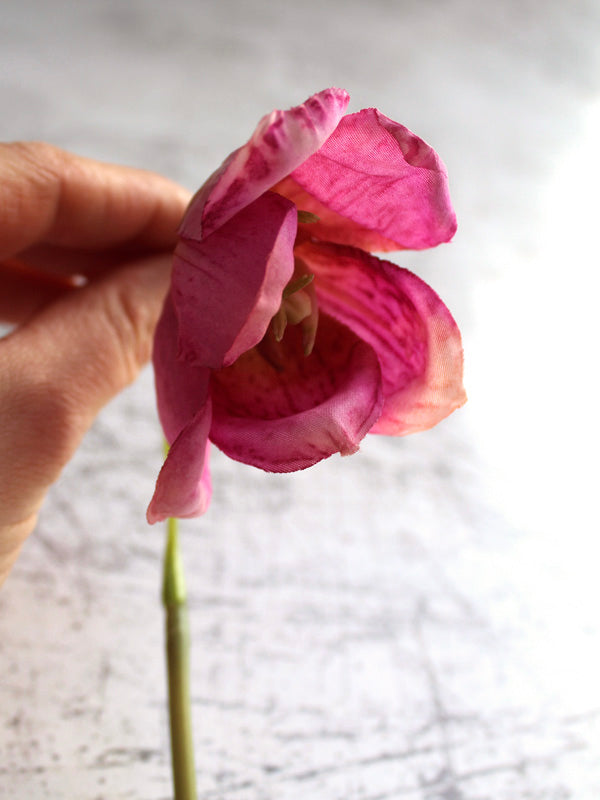 
                  
                    PINK FRITILLARIA
                  
                