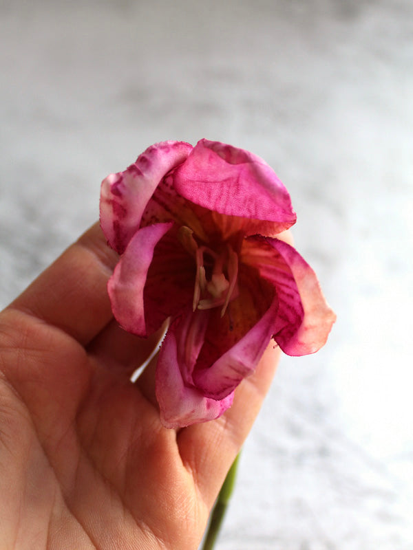 
                  
                    PINK FRITILLARIA
                  
                