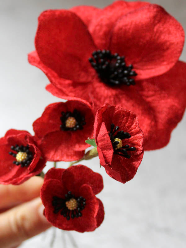 remembrance day poppies