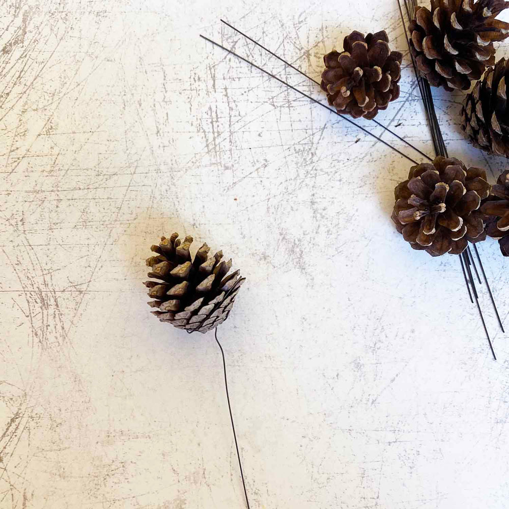 HOW TO WIRE PINE CONES