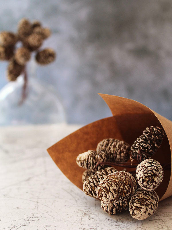 Snowy pine cones for wreath