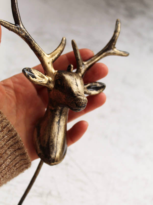 
                  
                    STAG HEAD
                  
                