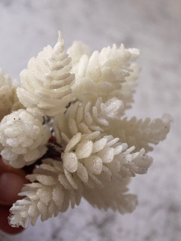 wreath decorating pine cones