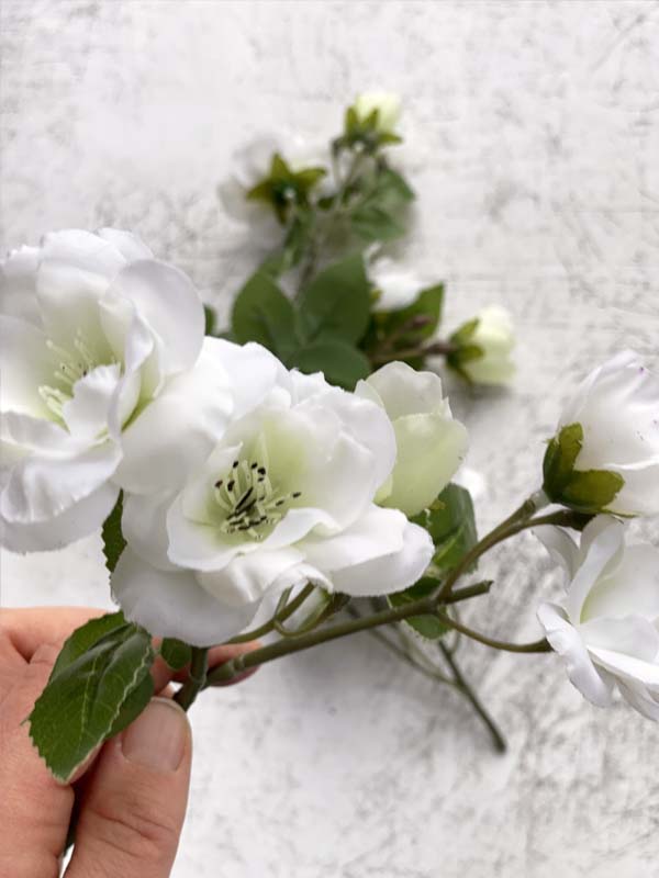 
                  
                    WHITE ROSES
                  
                