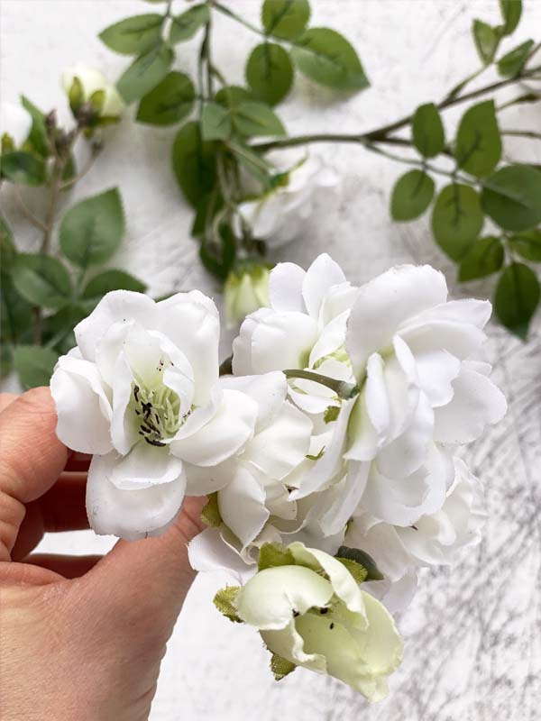 
                  
                    WHITE ROSES
                  
                