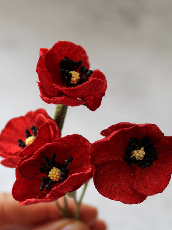 remembrance day poppies