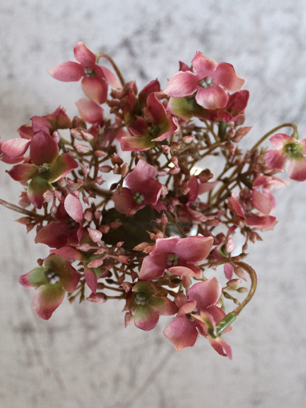 PINK HYDRANGEA