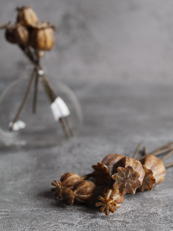 
                  
                    artificial brown poppy heads
                  
                