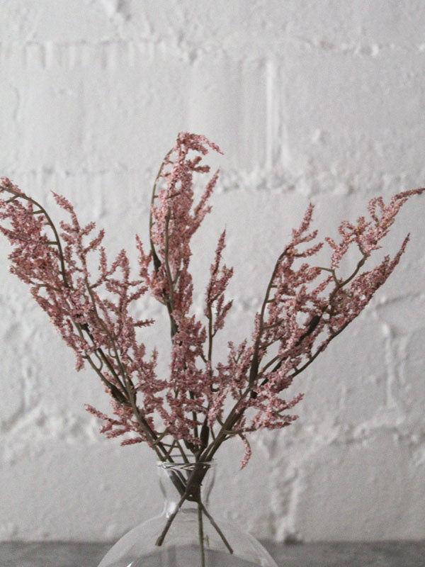 PINK ASTILBE